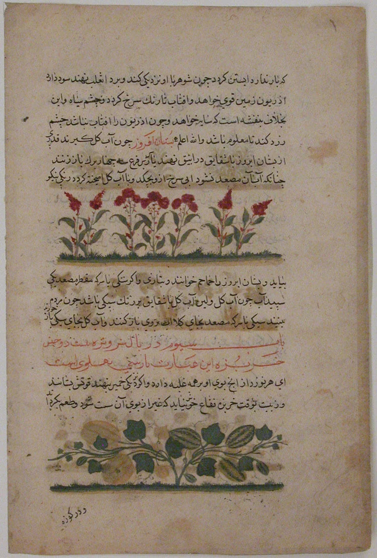 "Purple Amaranth and Watermelon", Folio from a Dispersed Nuzhatnama-i ‘Ala’i of Shahmardan ibn Abi’l Khayr by Shamardan ibn Abi 'l Khayr, manuscript, 1400-1425