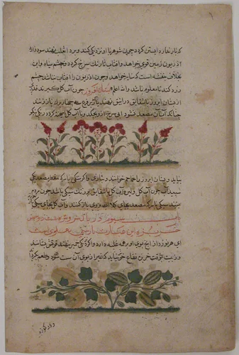 "Purple Amaranth and Watermelon", Folio from a Dispersed Nuzhatnama-i ‘Ala’i of Shahmardan ibn Abi’l Khayr by Shamardan ibn Abi 'l Khayr, manuscript, 1400-1425