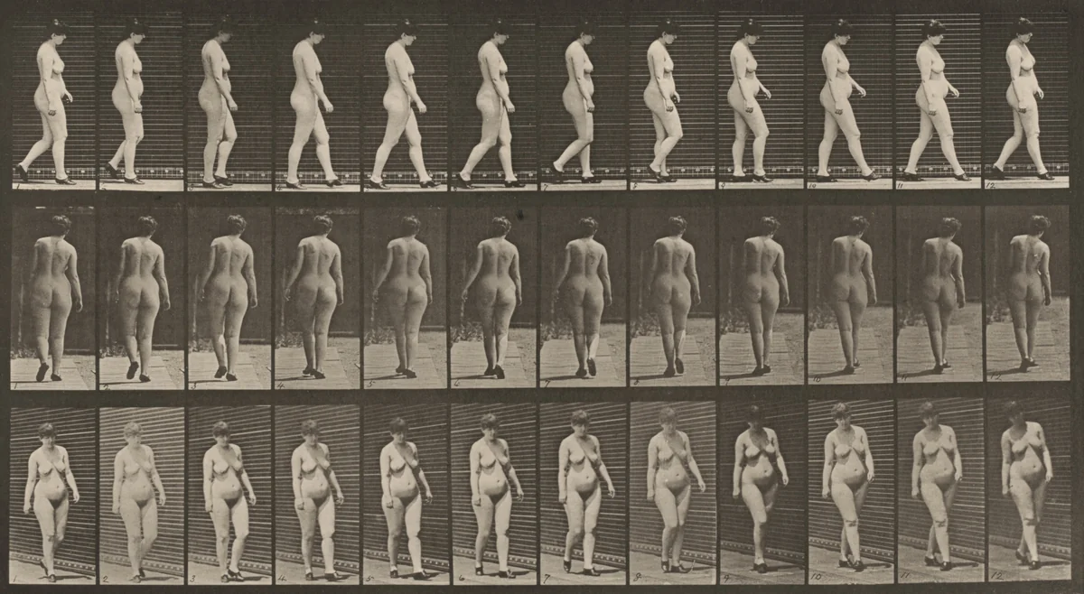 Plate Number 24. Walking with shoes on by Eadweard Muybridge, photograph, 1887