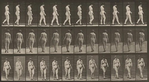 Plate Number 24. Walking with shoes on by Eadweard Muybridge, photograph, 1887