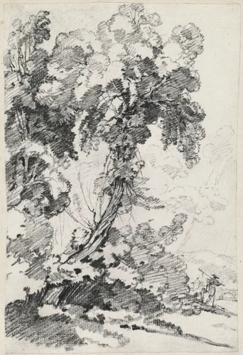 A Towering Tree with Travelers by Joseph-Marie Vien, drawing, 1746-1749