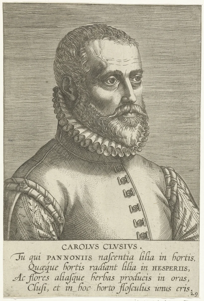 Portret van Carolus Clusius by Philips Galle, print, 1587-1606