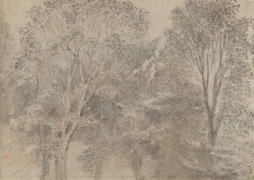 Treetops [verso] by Antoine Watteau, drawing, 1684-1721
