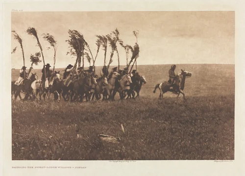 Portfolio VI, Plate 205: Bringing the Sweat-Lodge Willows - Piegan by Edward Curtis, other, 1900