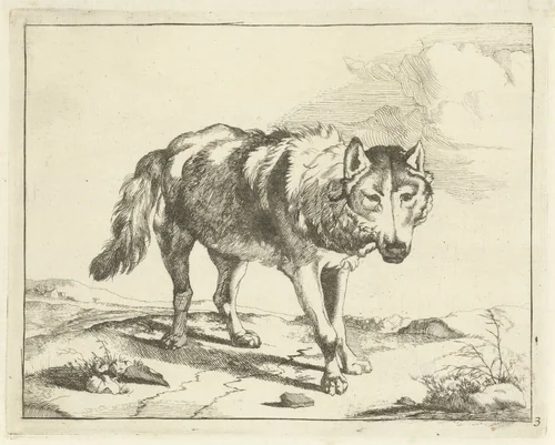 Staande wolf van voren gezien by Marcus de Bye, print, 1657-1677