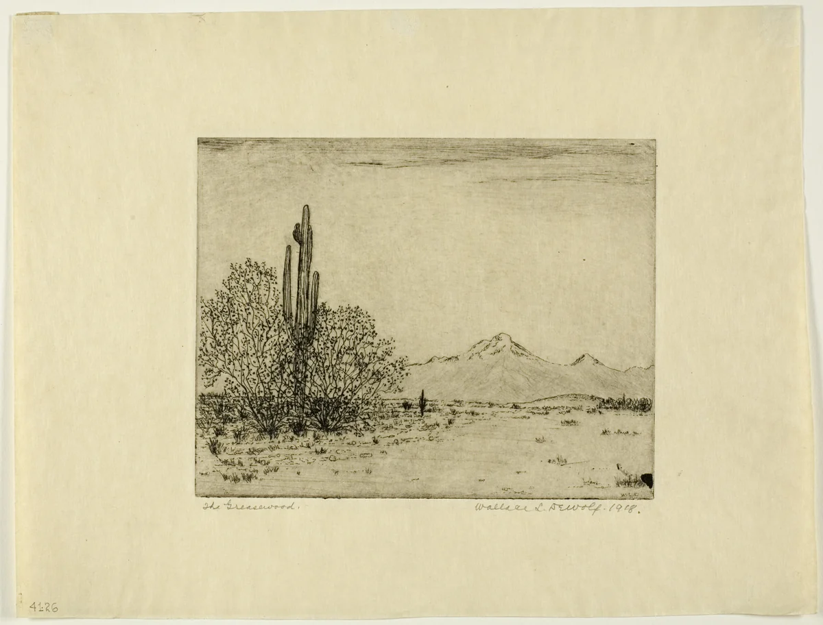 The Greasewood by Wallace DeWolf, print, 1918
