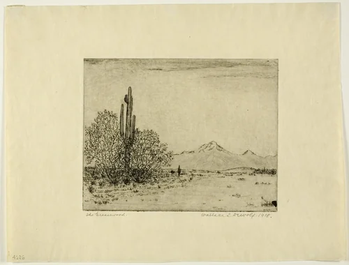 The Greasewood by Wallace DeWolf, print, 1918