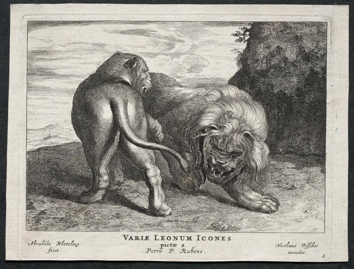 Various Lions by Abraham Blooteling, print, 1655-1690