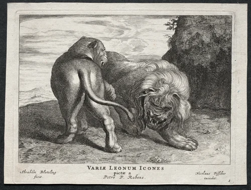 Various Lions by Abraham Blooteling, print, 1655-1690