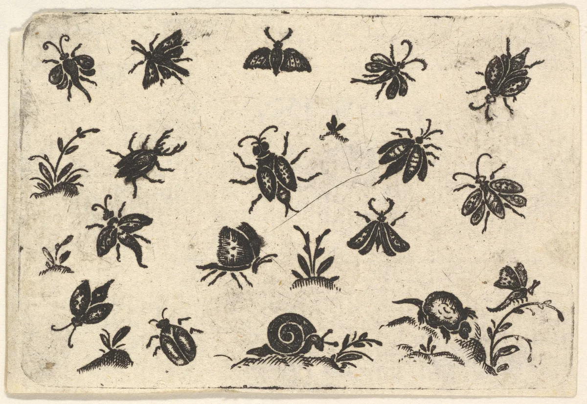 Small Motifs of Insects and Plants by Georg Herman, print, 1596