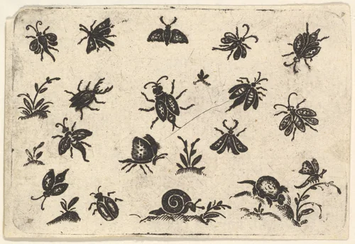 Small Motifs of Insects and Plants by Georg Herman, print, 1596