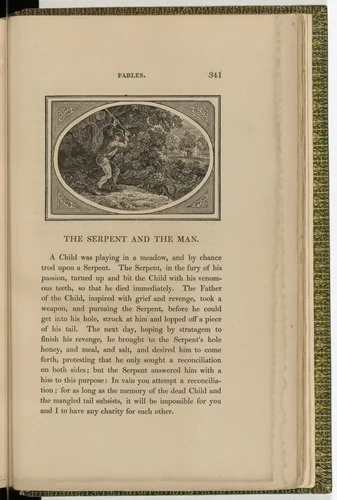 Headpiece (page 341) from The Fables of Aesop by Thomas Bewick, illustrated book, 1818