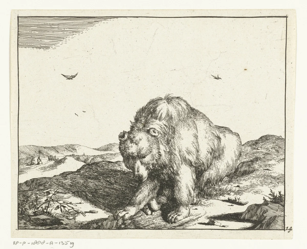 Zittende beer van voren gezien by Marcus de Bye, print, 1664