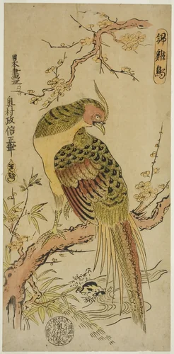 Golden Pheasant (Kinkeicho) by Okumura Masanobu (奥村政信), print, 1715-1730