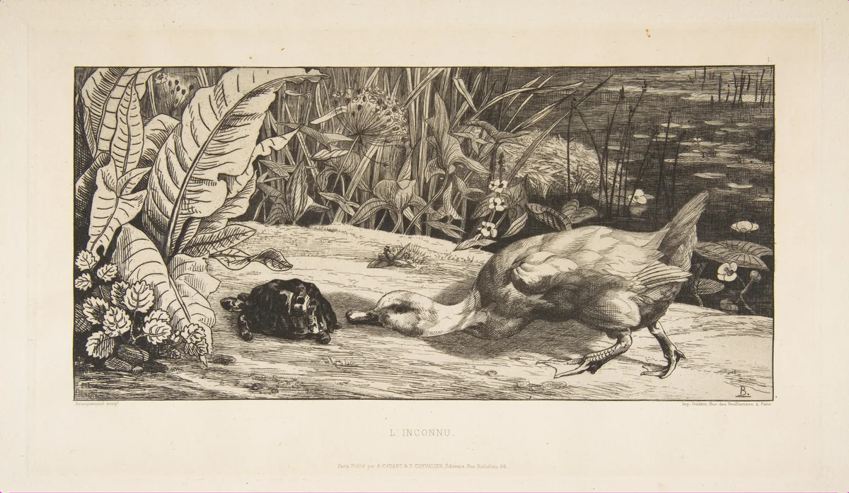 L'Inconnu by Félix Bracquemond, print, 1862