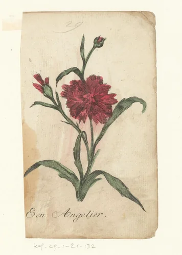 Anjer by anonymous, print, 1821-1829