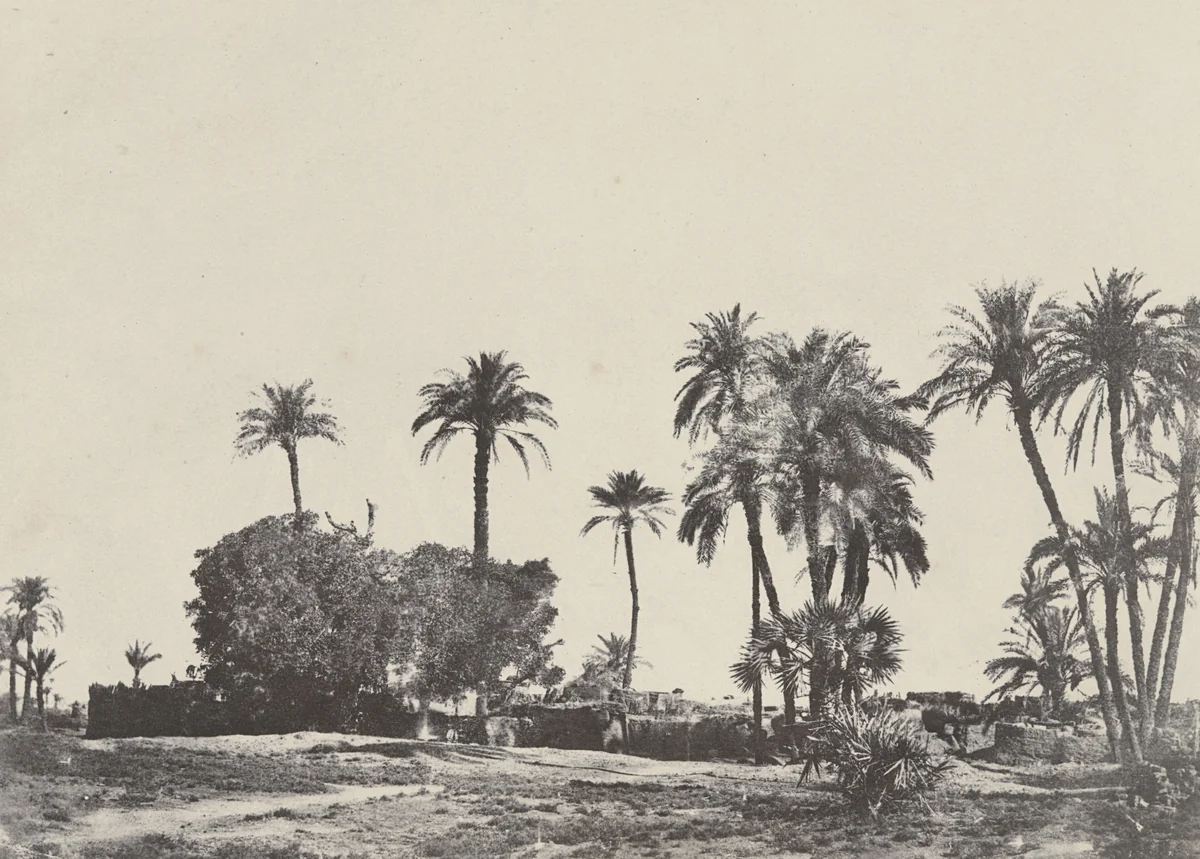Village de Hamameh by Maxime Du Camp, photograph, 1849