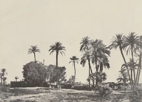 Village de Hamameh by Maxime Du Camp, photograph, 1849
