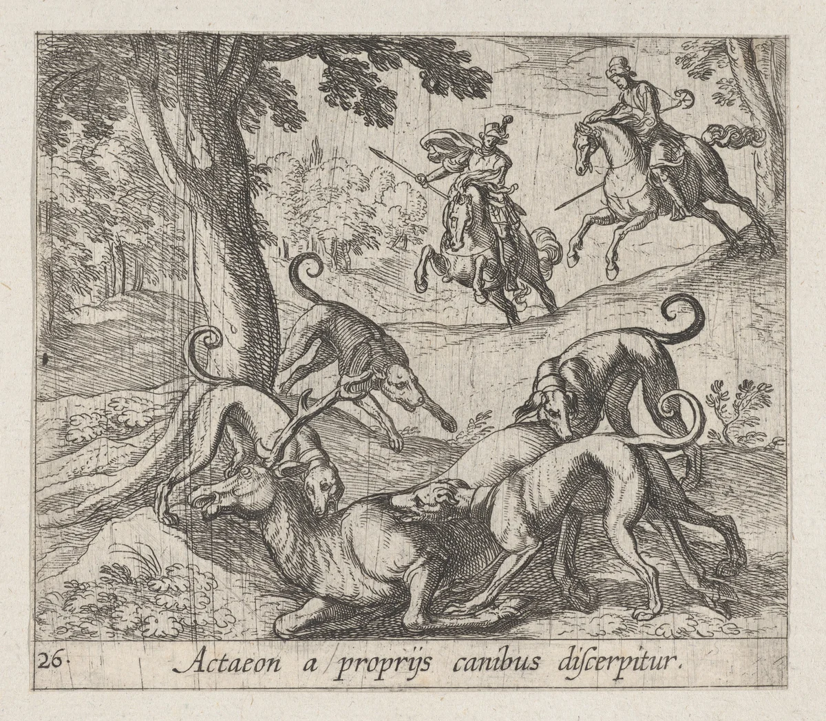 Plate 26: Actaeon Killed by His Dogs (Actaeon a proprÿs canibus discerpitur), from Ovid's 'Metamorphoses' by Antonio Tempesta, print, 1606