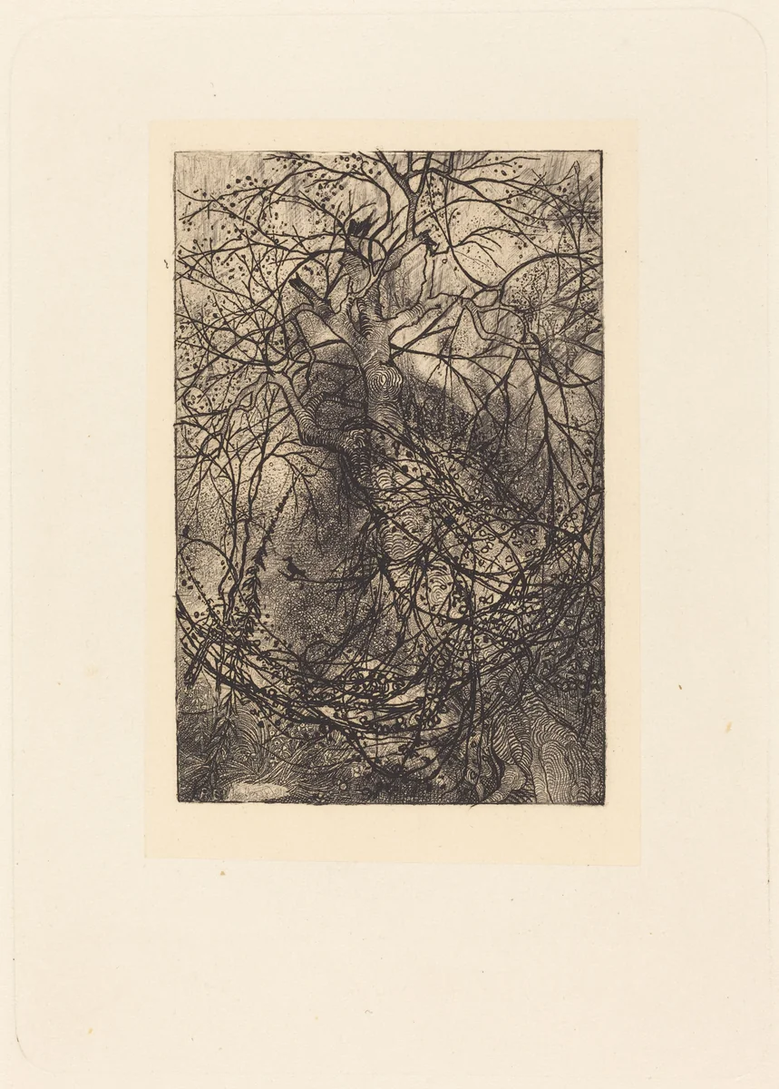 Branches by Rodolphe Bresdin, print, 1825-1885