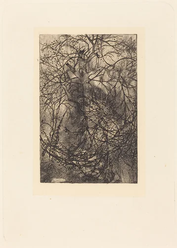 Branches by Rodolphe Bresdin, print, 1825-1885