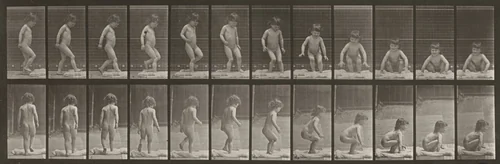 Plate Number 476. Child sitting down on the ground by Eadweard Muybridge, photograph, 1887