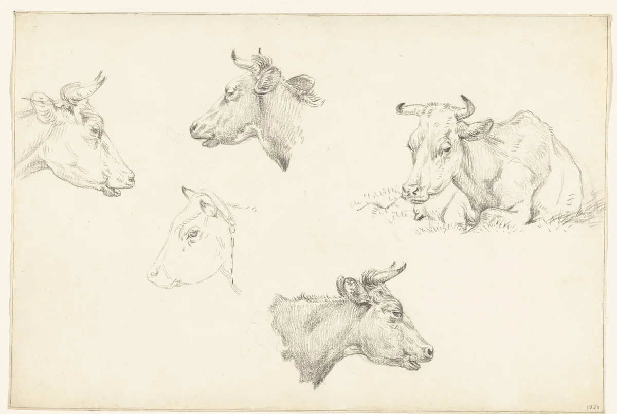 Vier studies van de kop van een koe en een liggende koe by Jean Bernard, drawing, 1821