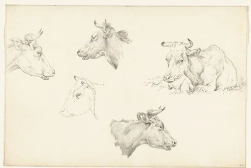 Vier studies van de kop van een koe en een liggende koe by Jean Bernard, drawing, 1821