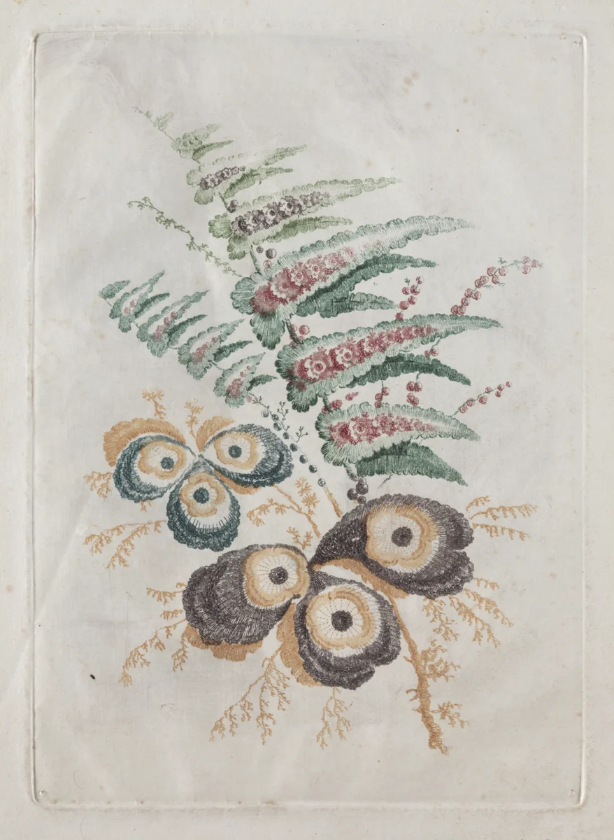 New Suite of Portfolios of Flowers Ideal to Use for Designing and Painting: Floral Fantasies by Anne Allen, print, 1791-1801