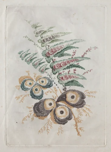 New Suite of Portfolios of Flowers Ideal to Use for Designing and Painting: Floral Fantasies by Anne Allen, print, 1791-1801