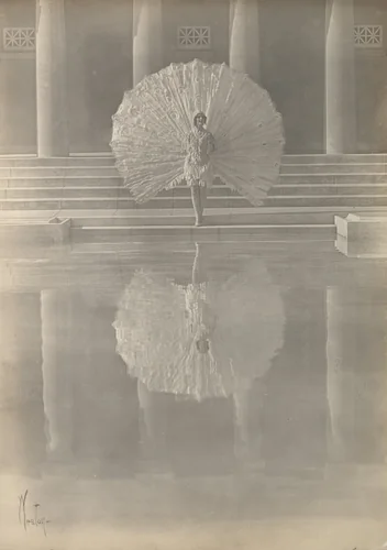 The White Peacock by Edward Weston, photograph, 1917