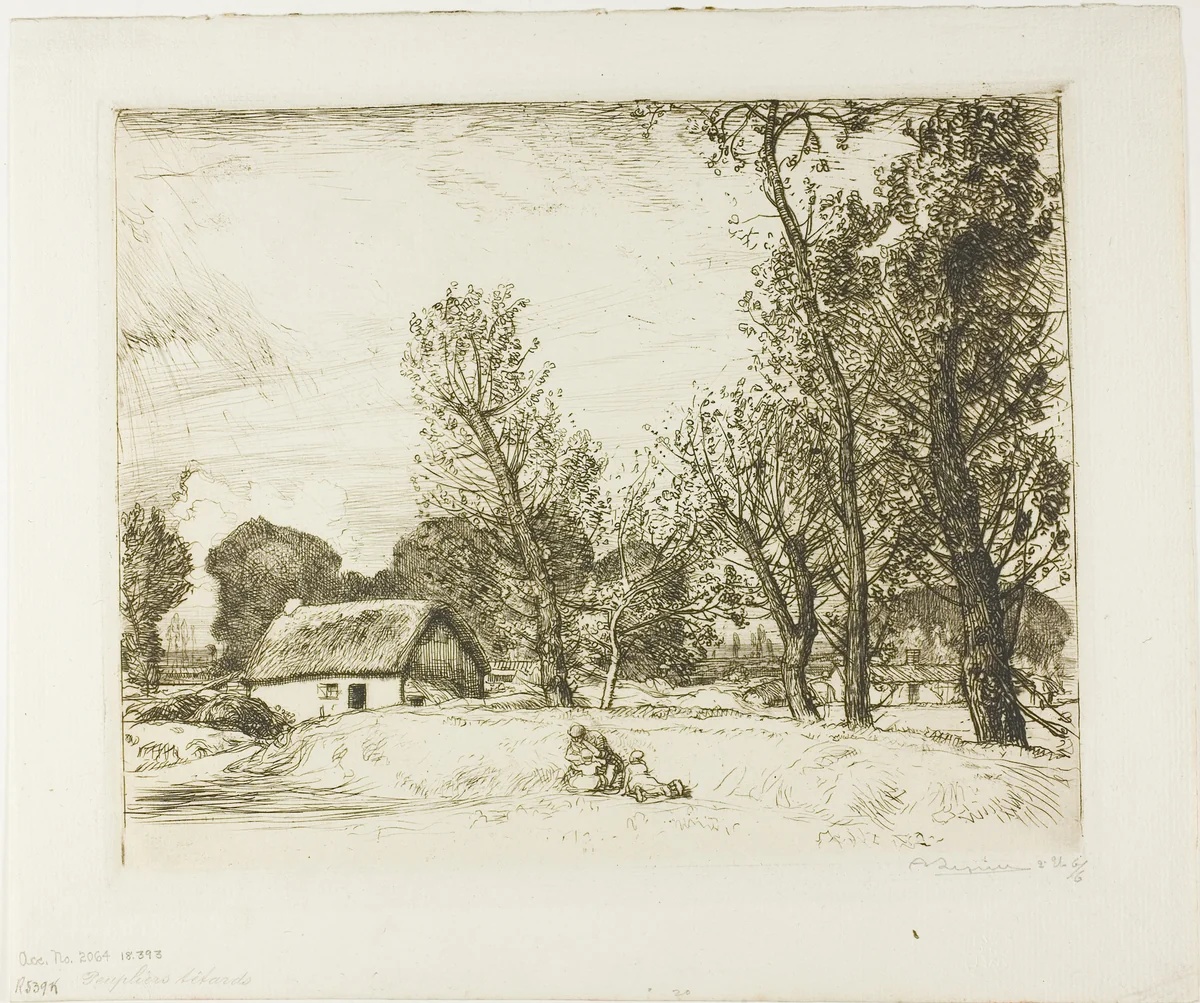 Pollard Poplars by Louis Auguste Lepère, print, 1910