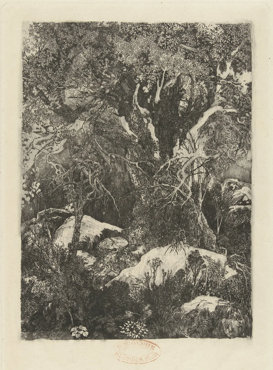 Boslandschap by Rodolphe Bresdin, print, 1878-1880