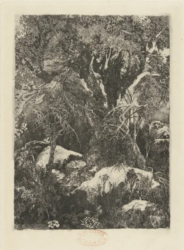 Boslandschap by Rodolphe Bresdin, print, 1878-1880
