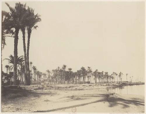 El-Nâcérah, Dattiers, Rives du Nil et Barques by Félix Teynard, photograph, 1851-1852
