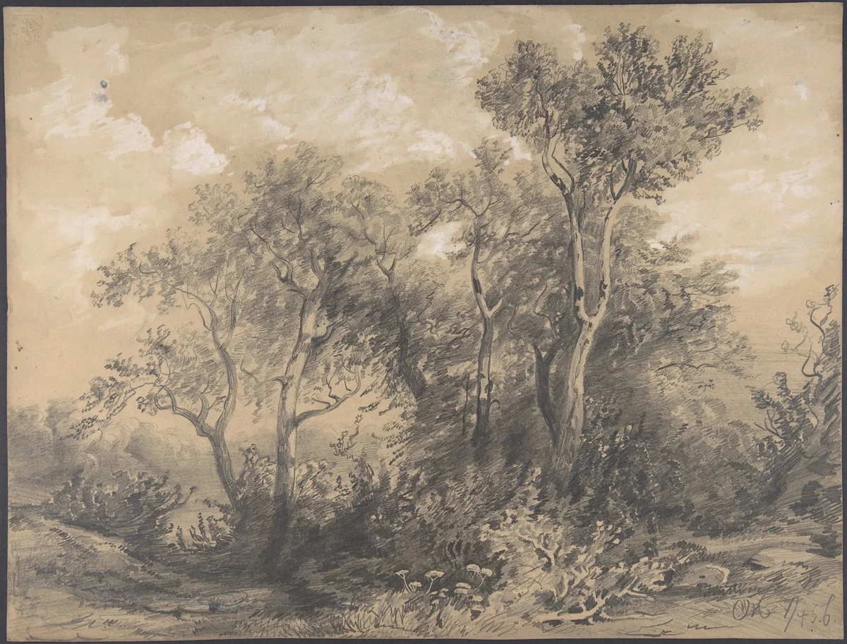 Trees (recto); Soldiers in a Wood (verso) by Alexandre Calame, drawing, 1830-1864