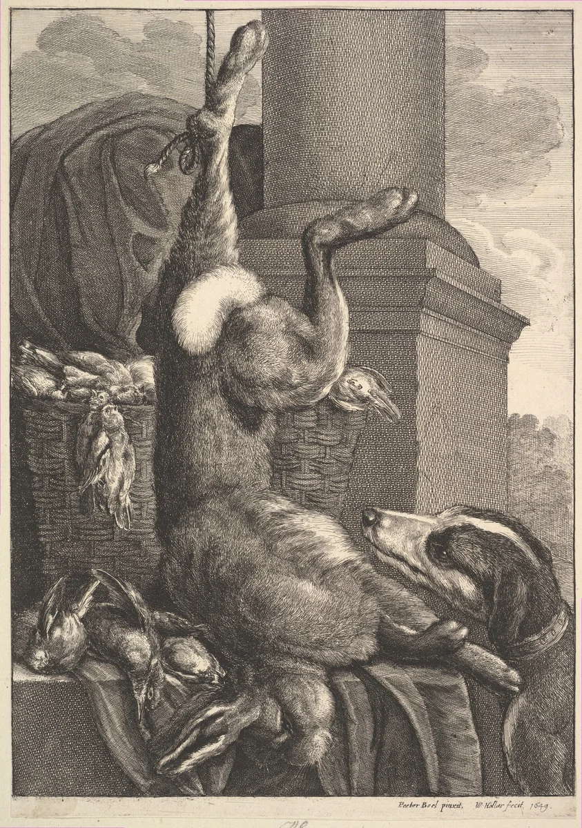 The Dead Hare by Wenceslaus Hollar, print, 1649