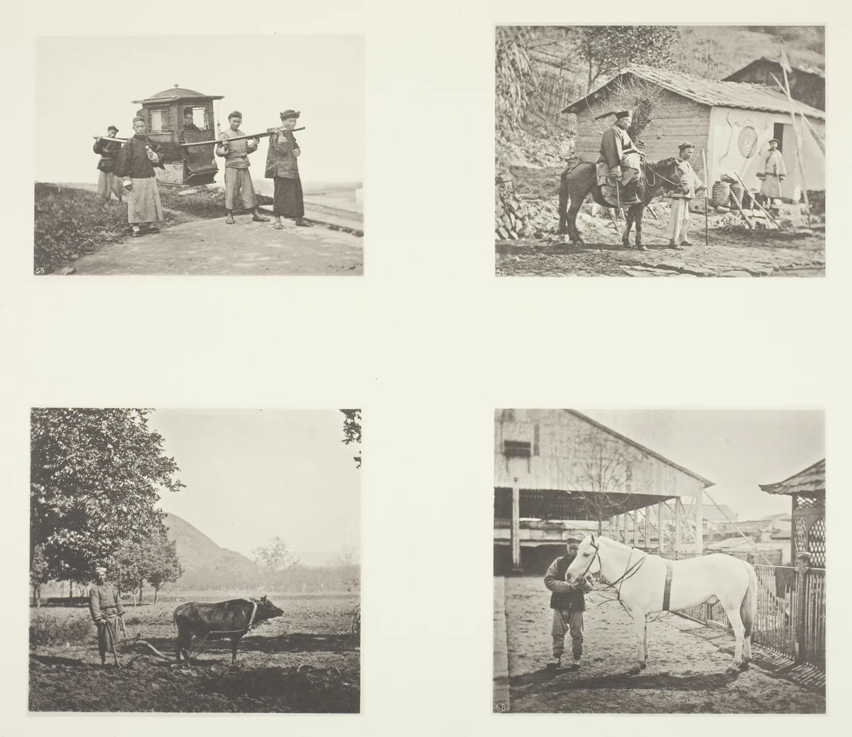 The Sedan; A Military Officer; The Plough; A North China Pony by John Thomson, photograph, 1863-1873