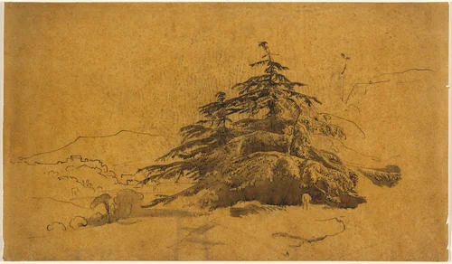 Study of Trees in a Landscape by John Varley, drawing, 1778-1842