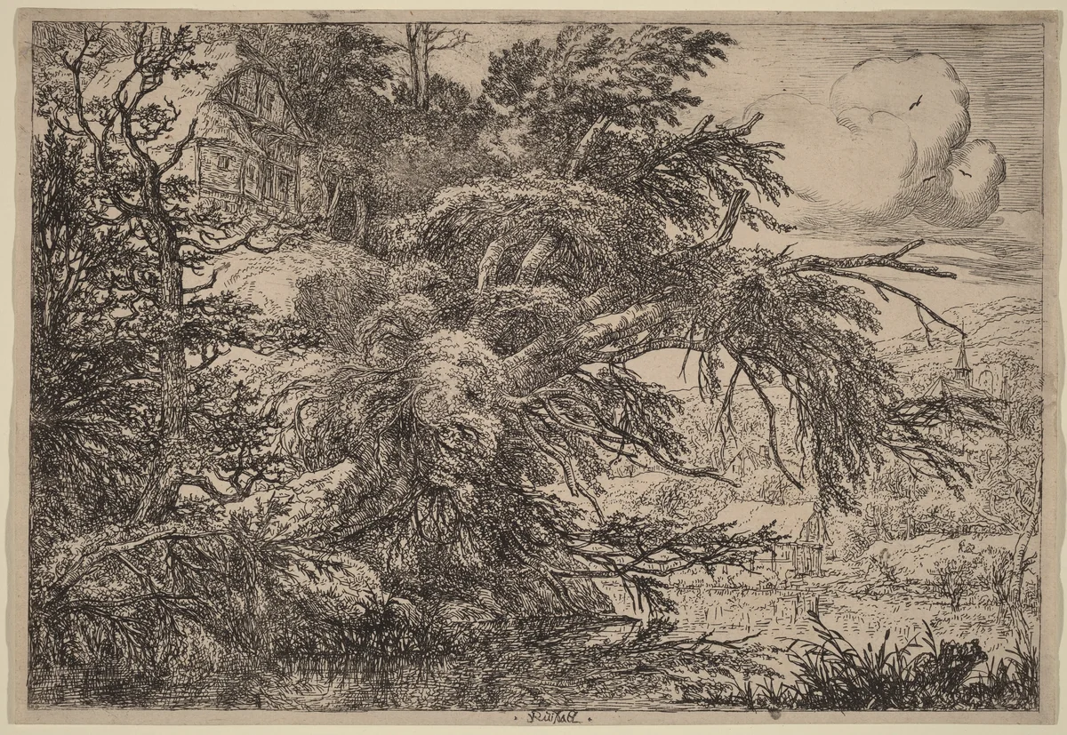 Cottage on a Hill by Jacob van Ruisdael, print, 1628-1682