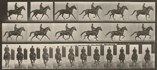 Plate Number 601. "Beauty" trotting, saddled by Eadweard Muybridge, photograph, 1887