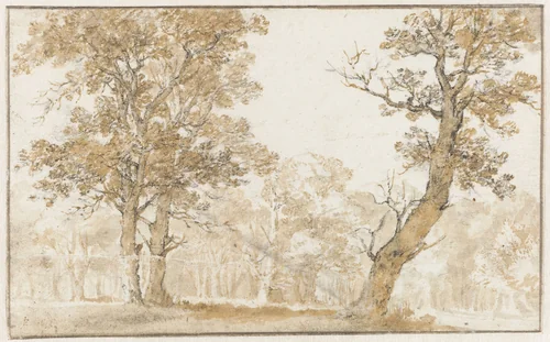 Haagse Bos by Jan de Bisschop, drawing, 1652