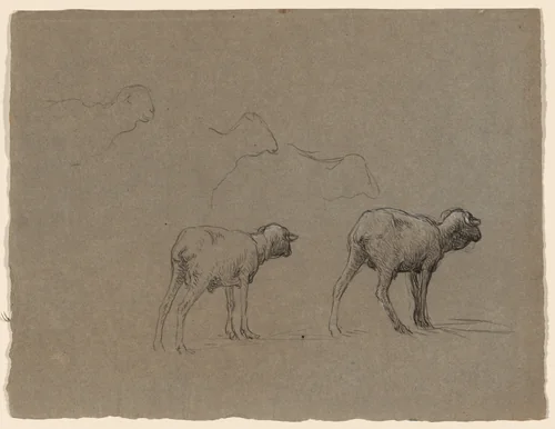 Studies of Sheep by Jean Ferdinand Chaigneau, drawing, 1860-1869