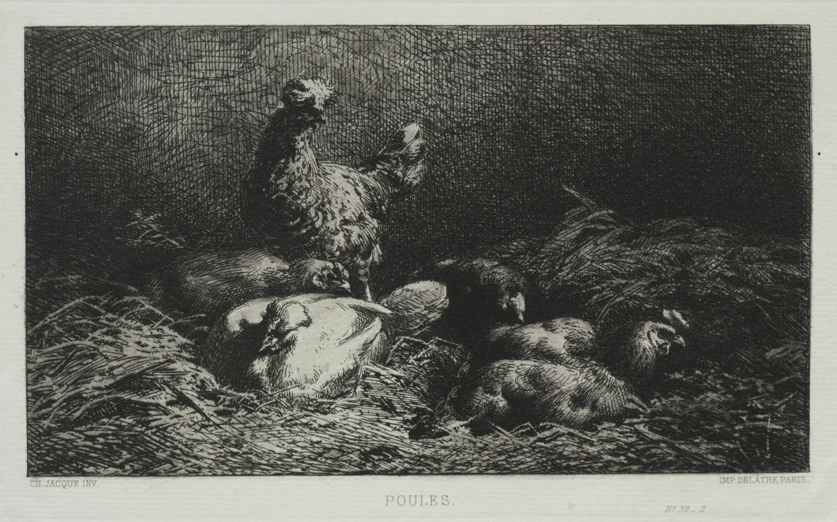 Chickens by Charles-Émile Jacque, print, 1867