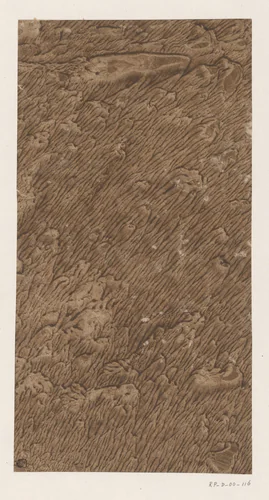 Geaderd stijfselverfpapier in bruin by anonymous, other, 1750-1900