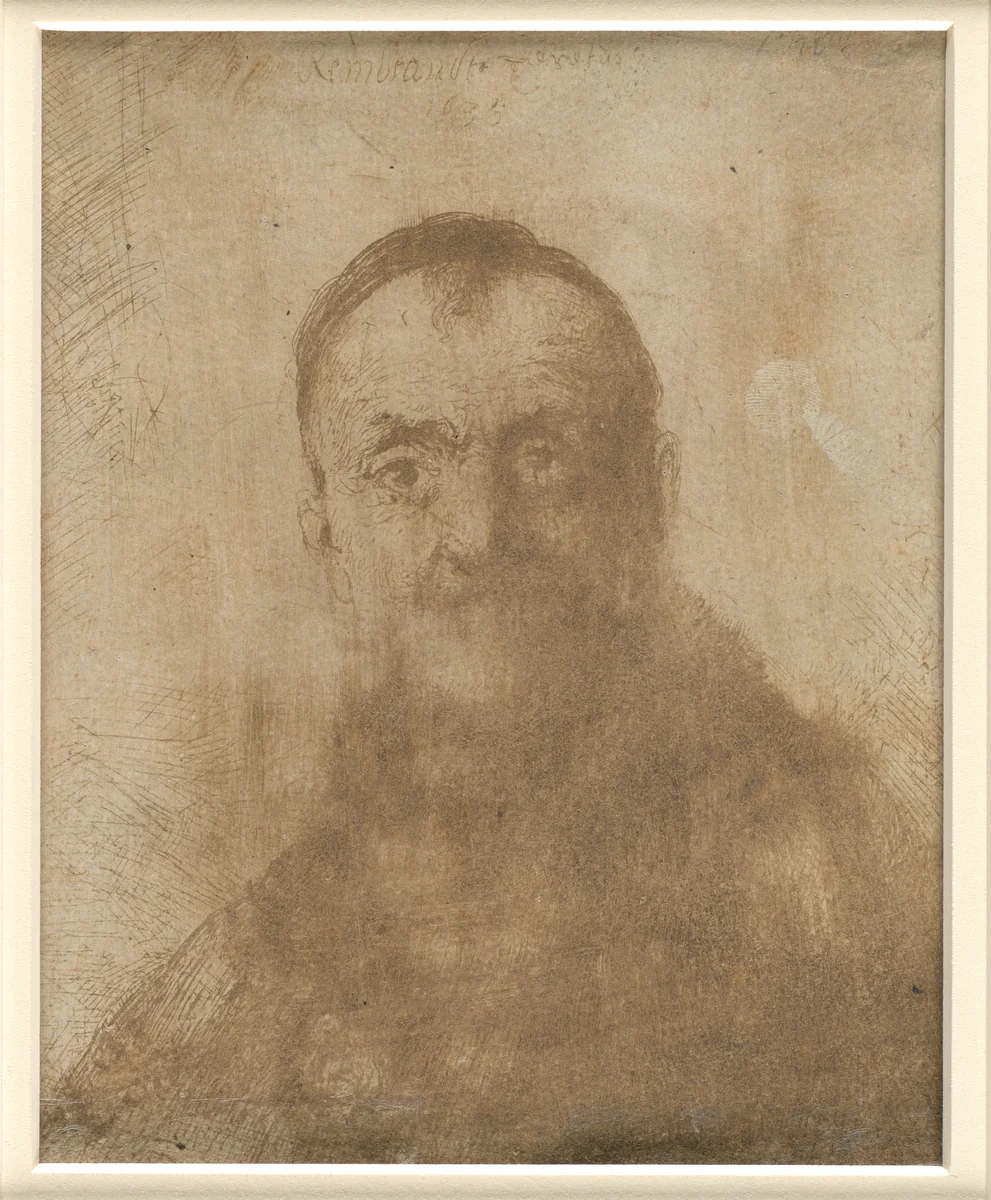 A Young Man by Rembrandt van Rijn, drawing, 1635