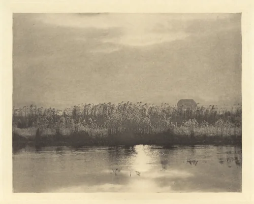 Rime Crystals by Peter Henry Emerson, photograph, 1895