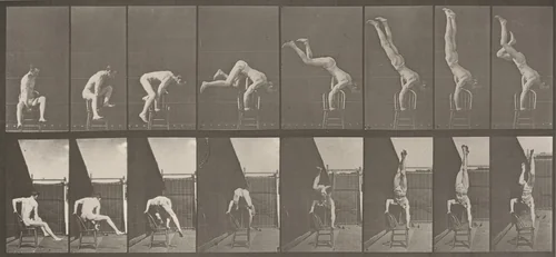 Plate Number 373. Acrobat, "press up" from chair by Eadweard Muybridge, photograph, 1887