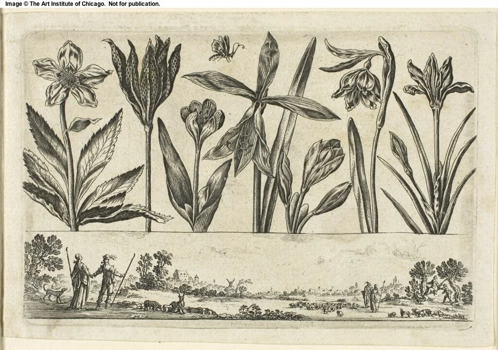 Flowers and Landscape, from Livre Nouveau de Fleurs... by Nicolas Cochin, print, 1645