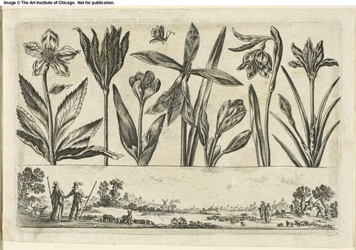 Flowers and Landscape, from Livre Nouveau de Fleurs... by Nicolas Cochin, print, 1645